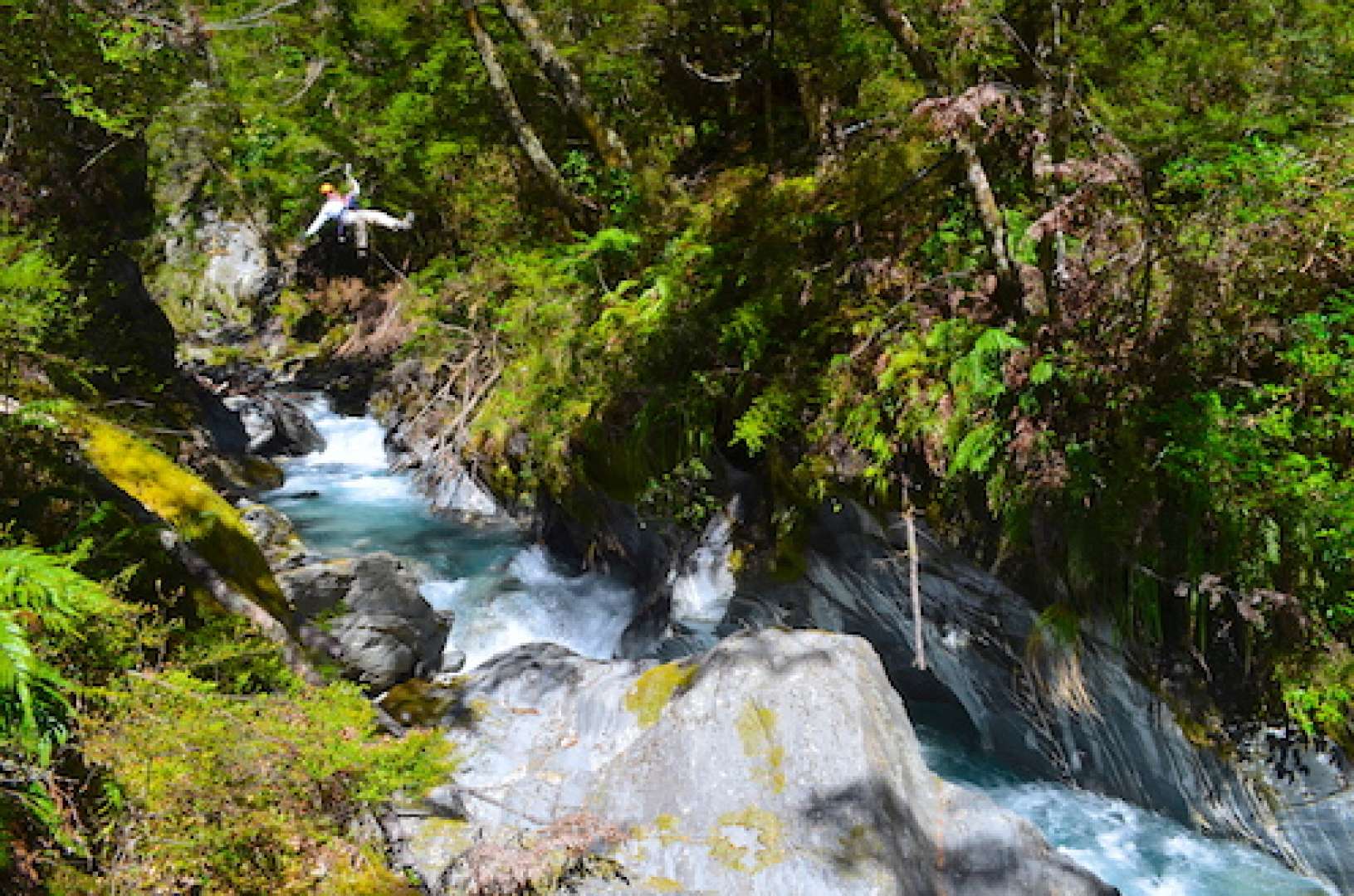 Ziplining through stunning Queenstown native bush